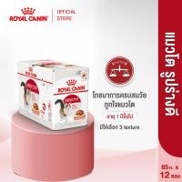 ราคา ยกกล่อง12ซอง Royal Canin Instinctive Pouch Gravy อาหารเปียกแมวโตอายุ12เดือนขึ้นไป ซอสเกรวี่ Wet Cat Food โรยัล คานิน (1420780489)