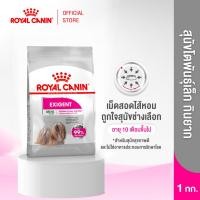 ราคา Royal Canin Mini Exigent 1kg อาหารเม็ดสุนัขโต พันธุ์เล็ก ช่างเลือกอาหาร อายุ 10 เดือนขึ้นไป Dry Dog Food โรยัล คานิน (1420780787)