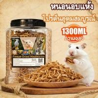 ราคา PETLUSCI หนอนอาหาร หนอนอบแห้ง หนอนนก 1300ml อาหารหนูแฮมเตอร์ โปรตีนสูง ชูการ์ เม่นแคระ นก ปลา (46902518433)