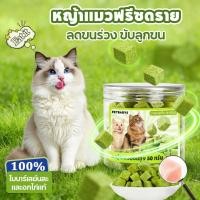 ราคา PETLUSCI หญ้าแมวฟรีซดราย 50g ขนมแมวฟรีซดราย ขนมหญ้าแมว ลดสำลักขน เสริมโปรตีน ขนแมวเงางาม หอม ทานง่าย (50153106574)