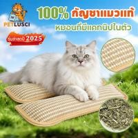 ราคา หมอนแมว กัญชาแมวแท้ 100 หมอนที่มีแคทนิปในตัว 34cm แข็งแรง ทนการข่วน ของเล่นแมว หมอนสัตว์เลี้ยง (46400037174)