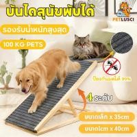 ราคา PETLUSCI บันไดสุนัข บันไดสัตว์เลี้ยง พับได้ บันไดสุนัขขึ้นรถ กันลื่น ปรับความสูงได้ M L บันไดทางลาด (53601394617)