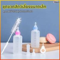ราคา Rayco ขวดนมสำหรับลูกสุนัข ลูกแมว พร้อมหัวนมสำรอง แปรงล้างขวด (40128691126)