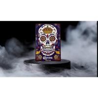 ราคา ป้ายดีบุก Corona Extra Beer ร้านอาหารบาร์เบียร์ตกแต่งสวน Retro 20x30 ซม (26244406957)