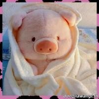 ราคา น่ารักลูลู่ลูกหมูของเล่นตุ๊กตาลูลู่หมูหมอนตุ๊กตาตกแต่งบ้านนอนตุ๊กตานุ่มยัดไส้ของเล่นวันเกิดของขวัญคริสต์มาส (57406631538)