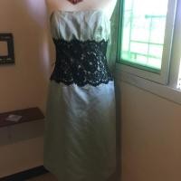 ราคา เดรสสีเขียวเกาะอกแต่งลูกไม้สีดำใส่แล้วดูแพงค่ะ (3115530476)