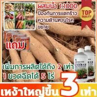 ราคา เหง้าใหญ่ขึ้น 10 เท่า ปุ๋ยเร่งหัวมัน ปุ๋ยมันสำปะลัง ปุ๋ยทางใบมันสำปะหลัง ปุ๋ยเกล็ดทางใบ ปุ๋ยกัชชา ปุ๋ยเร่งดอกไม้ (26603394653)