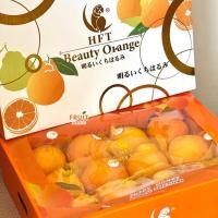 ราคา ส้มเดโกปอง ส้มจุก พรีเมี่ยม ตรานกแก้ว คัดพิเศษ รุ่น 10 12 ลูก หวานอร่อย ไร้เมล็ด เกล็ดส้มแน่นๆ เปลือกปอกง่าย ขายดี (50453351966)