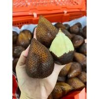 ราคา พร้อมส่ง สละอินโด 1 กิโลกรัม หอม หวาน กรอบ กรุบๆ ทานเพลินค่ะ (25676123003)
