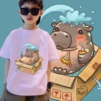 ราคา เด็กฮิปโป ลายฮิปโปน่ารัก ชุดเสื้อยืด ลบ 15 ผ้าหมูเด้ง อายุ 3 12 ปี ลูกค้าใหม่ (55806320984)