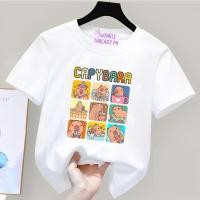ราคา เสื้อผ้าสูงคุณภาพ คอตตอนเสื้อเด็กซ์ สแปนเด็ก ผ้า CAPYBARA คอลเลคชั่น (43328021713)