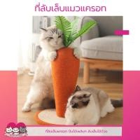 ราคา ที่ลับเล็บแมว ที่ฝนเล็บแมว แครอทฝนเล็บแมว (19739159575)