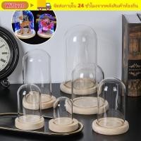 ราคา WIFLYZO ฝาครอบกันฝุ่นไฟ Fairy Terrarium โต๊ะ Terrarium ขวดโปร่งใส Jar ดอกไม้กล่องเก็บ (54557739720)