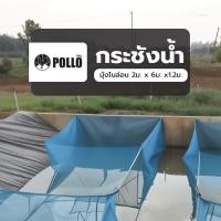 ราคา POLLO กระชังน้ำ มุ้งไนล่อน 2ม x 6ม x1 2ม สินค้าขายดี (55955502284)