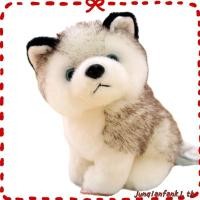 ราคา ตุ๊กตาลูกสุนัขฮัสกี้น่ารัก ขนาด 20 ซม 7 9 นิ้ว ของขวัญ ของเล่นสําหรับเด็ก (56705246028)