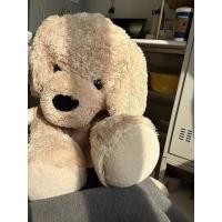 ราคา สไตล์ใหม่ขนาดใหญ่ของเล่นตุ๊กตาเตียง แร็กดอลล์ ตุ๊กตาสุนัขตุ๊กตาหมีตุ๊กตาตุ๊กตาของขวัญวันเกิดสําหรับแฟน (44503459778)