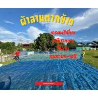 ราคา ผ้าลานตากข้าว ตรานกยูง ผ้าลานเย็บสำเร็จ 9x7 2เมตร ผ้าแยงตากข้าวเกรดพรีเมียม ใช้งานทนทาน5 10ปี (24201803112)