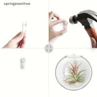ราคา Springevenfree แก้วพืช Terrarium คอนเทนเนอร์ Propagation Station ติดผนังแจกันดอกไม้ Air พืช Terrarium Home Office Decor th (42228106569)