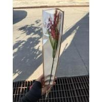 ราคา ได้ 10 ช่อ ดอกข้าวฟ่างปลอม ห่อด้วยพลาสติก ไม่มีโบว์ (52555813869)