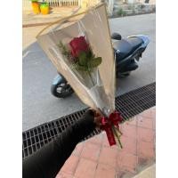 ราคา ได้ 10 ชิ้น ช่อกุหลาบปลอมสีแดงแบบดอกเดียว มีโบว์สีแดง (40328583635)