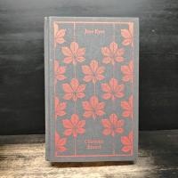 ราคา Jane Eyre Charlotte Brontë 1175863 (57357810855)