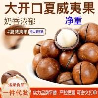 ราคา 2026 ใหม่สไตล์แมคคาเดเมียถั่วครีมรสบางผิวถั่วขนมขบเคี้ยว 500ก วอลนัทมือแถบแมคคาเดเมียถั่ว20260320 (56707421708)