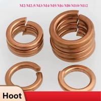 ราคา ปะเก็นยางยืดทองแดง ปะเก็นสปริง ปะเก็นยืดหยุ่น ปะเก็นสปริงกลม M2 M2 5 M3 M4 M5 M6 M8 M10 M12 MZ YH (48605629489)