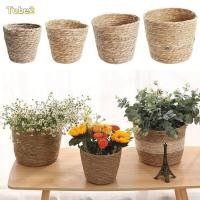 ราคา TOBE2 1 ชิ้นดอกไม้หม้อตะกร้า หวายฟางสําหรับ Garden Terracess หญ้าทอกระถางดอกไม้ ทนทาน Planter ตะกร้า Mini S M L เฟอร์นิเจอร์ตกแต่งทอพืชตะกร้าดอกไม้ (45957612280)