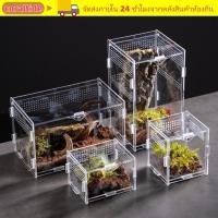 ราคา กล่องเพาะพันธุ์จิ้งจก CORALTIDE หลายขนาดสัตว์เลื้อยคลาน Habitat Arboreal อะคริลิค Anti Escape กรงสัตว์เลี้ยงขนาดเล็กสําหรับแมงป่อง (54956961699)