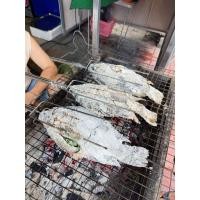 ราคา เสียบปลานิล ที่ย่างปลาเผา สแตนเลสเกรดดี ไม่เป็นสนิม เหล็กเสียบปลา ย่างปลาเผา ร้านอาหาร ครัวบ้าน พร้อมส่ง (53053336728)