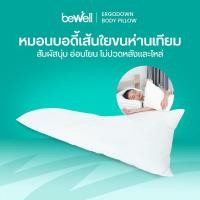 ราคา Bewell หมอนบอดี้เส้นใยขนห่านเทียมเพื่อสุขภาพ รุ่น ErgoDown นุ่มกอดสบาย ป้องกันกระดูกคด ลดอาการปวดหลัง ไร้สารก่อภูมิแพ้ (40603962825)