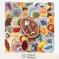 ราคา ร้านในไทยพร้อมส่ง สติ๊กเกอร์กันน้ำลายฟอสซิลซากสิ่งมีชีวิต MOLD TRACE FOSSIL Waterproof Decoration Sticker Set (55157835194)