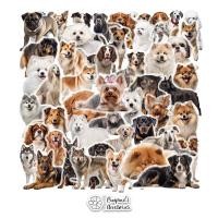 ราคา ร้านในไทยพร้อมส่ง สติ๊กเกอร์กันน้ำลายหมาสายพันธุ์ต่างๆ BREED OF DOG Waterproof Decoration Sticker Set (44657925080)