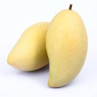 ราคา มะม่วงน้ำดอกไม้ บรรจุ 5 โล (26226827827)