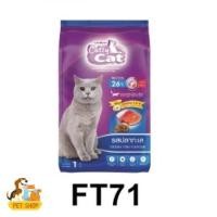 ราคา อาหารแมว Catty Cat FT71 รสปลาทะเล สูตรสำหรับอายุ 1 ปีขึ้นไป 1 กิโลกรัม (42309227585)