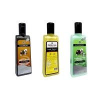 ราคา ECTODERM ECTODERM แชมพูสัตว์เลี้ยง แชมพูสุนัข แชมพูแมว ขนาด 325 ml (18583541321)
