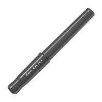 ราคา Pilot Kakuno Fountain Pen Grey FKA1SRGYF (56051678494)