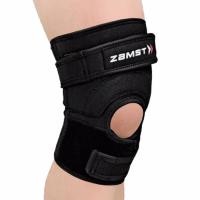 ราคา Zamst JK 2 Premium Knee Brace Immobilizer Patella Support Stabilizer Ligament Tear Wraparound Stabilizer Unisex Sports Knee Support Size L (55306330415)