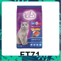 ราคา Catty Cat Ocean Fish เม็ดอาหารแมว รสปลาทะเล 1 กก สำหรับแมวโต FT71 (44209223412)
