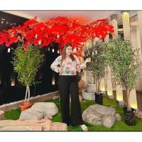 ราคา เสื้อซีทรูสีขาวลายน่ารัก (22141620944)