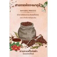ราคา สารกาแฟ Coffee Green Bean Robusta สารกาแฟใหม่ปีล่าสุด ปลูกแบบธรรมชาติ ไม่ใช้สารเคมี (42628804803)