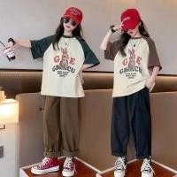 ราคา ชุดสองชิ้นสำหรับเด็กผู้หญิง ฤดูร้อน รวมเสื้อยืดรากแลนแขนสั้นและกางเกงขาบาน สไตล์ล่าสุด (58108112848)