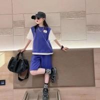 ราคา คอลเลกชันใหม่ ชุดเสื้อยืดแขนสั้นสำหรับเด็กผู้หญิง ดีไซน์ทูพีซลายตัดสีพร้อมกางเกงขาสั้น สไตล์ฤดูร้อน (54458120701)