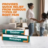 ราคา Himalaya Rumalaya Gel 30gครีม หมดอายุ 07 2027 (21483915748)