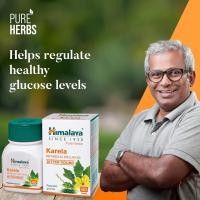 ราคา Himalaya Karela มะระขี้นก สกัดอัดเม็ดเข้มข้น มี60 เม็ด (23339501980)