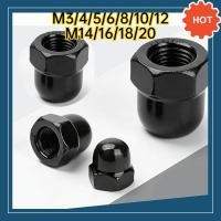 ราคา หัวน็อตหมวกสแตนเลสสีดำ 304 แท้ 100 Black Stainless Cap Nut เกรดพรีเมียม สีติดทน ไม่หลุดลอกง่าย สำหรับงานตกแต่งและเครื่องจักร Premium Black 304 Nut M3M4M5M6M8M10M12 M20DX TH 03 (53804871939)