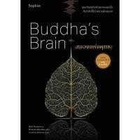 ราคา หนังสือ สมองแห่งพุทธะ ฉ ปรับปรุง สำนักพิมพ์ Sophia ผู้แต่ง ดร ริค แฮนสัน นพ ริชาร์ด แมนดิอัส (27162927418)