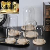 ราคา SEEO แก้ว Clche พืช Terrarium โต๊ะ Terrarium แจกันแก้ว Jar ดอกไม้กล่องเก็บ (54058599171)