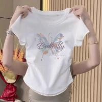 ราคา เสื้อยืดครอป แขนสั้น เวอร์ชั่นเกาหลีของกระแสน้ำแน่นเข้ารูปพอดีสั้นเอวสูงบางผู้หญิงด้านบนเสื้อครอปเอวลอยรัดรูปเสื้อสาวอวบ (56657201394)