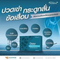 ราคา DEER เดียร์ ผลิตภัณฑ์อาหารเสริมบำรุงกระดูกและข้อ SUCCESSMORE (28360901741)